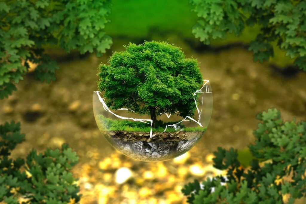 Hidup sehat untuk kemajuan sustainable living
